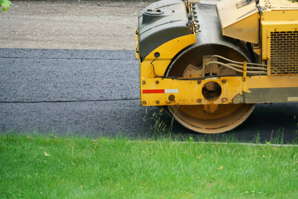 Best Driveway Repair Near Me  in Lake Forest Park, WA